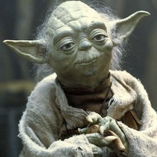 Yoda — Head of AI